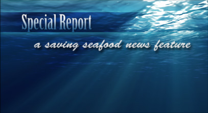 SPECIAL REPORT: Eleven problems with the 2011 Gulf of Maine cod survey