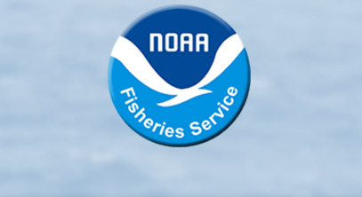 2013 Sea Scallop Research Set-Aside Awards Announced