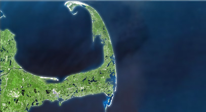 Chilling mandate for Cape Cod shellfish industry