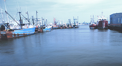 Fishing interests begin to map Magnuson-Stevens strategy