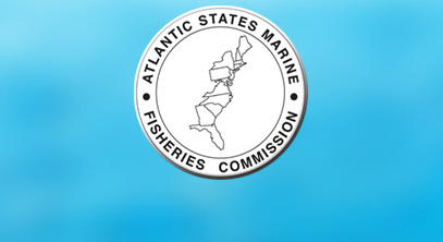 Regulators vote on rules for Maine's eel fishery