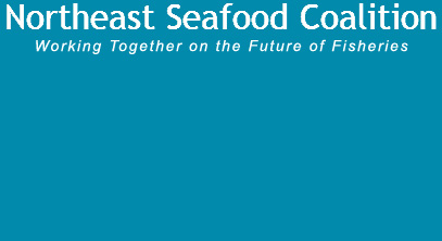 Northeast Seafood Coalition appoints Nicolas Brancaleone, as communications manager