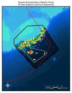 This map shows hot and cold spots for species of bottom-dwelling animals in the New England Canyons and Seamounts areas. Species are especially diverse along the edge of Georges Bank, where the shelf descends into the deep ocean. Hot spots are also visible on Bear, Physalia, Retriever and Mytilus Seamounts. Courtesy of Peter Auster and Michel McKee, Mystic Aquarium