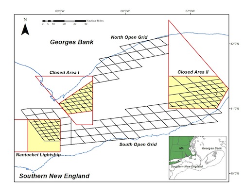 loc_georgesbankgrid3.jpg