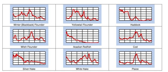 groundfish_graph3.jpg