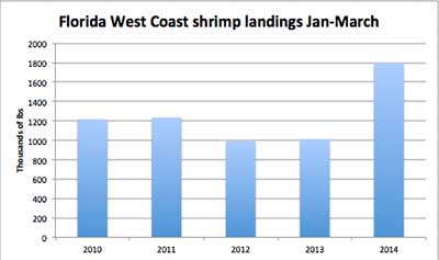 marfloridashrimp.jpg