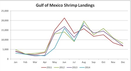 gulfmayshrimpcomparison.jpg