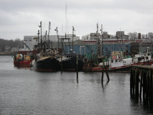 Fishing Boats