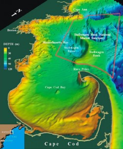 Stellwagen Bank. Photo Courtesy of NOAA