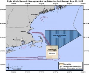 Right Whale map
